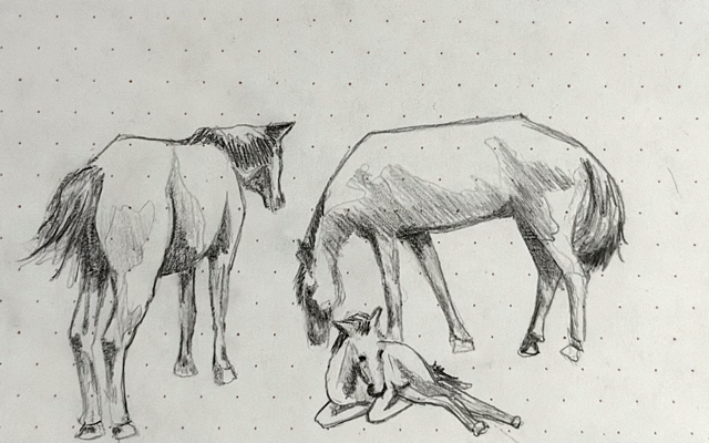 Drawing of horses.